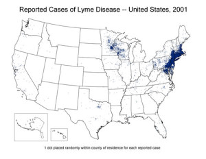 Chart courtesy of Lyme Disease Statistics, CDC Division of Vector-Borne Infectious Diseases.