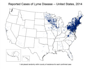 Chart courtesy of Lyme Disease Statistics, CDC Division of Vector-Borne Infectious Diseases.